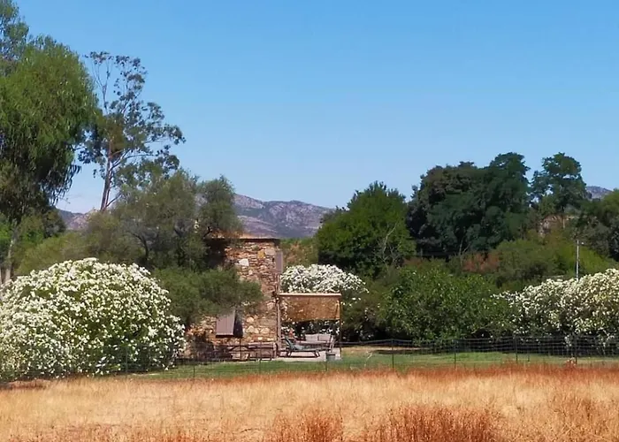 A Casa Di L Amanduli Bed & Breakfast